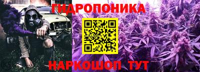 гашиш Кингисепп
