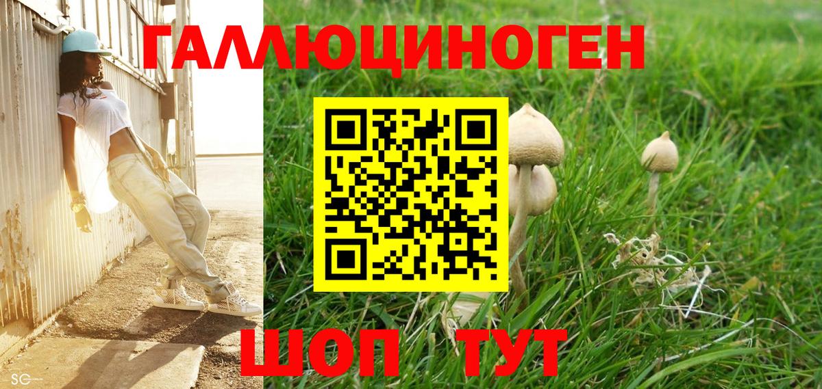 Псилоцибиновые грибы прущие грибы  Псилоцибиновые грибы MAGIC MUSHROOMS  Вход с VPN  Сунжа 